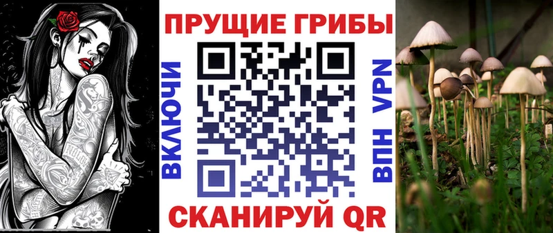 Псилоцибиновые грибы прущие грибы  ОМГ ОМГ зеркало  Нижняя Тура 